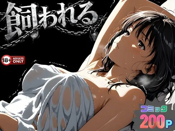 事故の代償は飼育生活でした。（はじめちゃん）